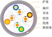 PP电子5金狮·(中国区)游戏官方网站