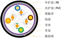 PP电子5金狮·(中国区)游戏官方网站